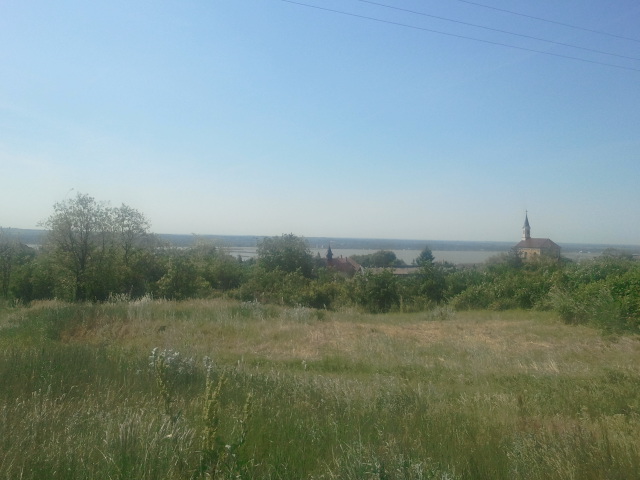 2017-05-20 09.44.24.jpg